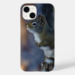 Coque Pour iPhone 14 Écureuil d'hiver, animal Brown, photo canadienne