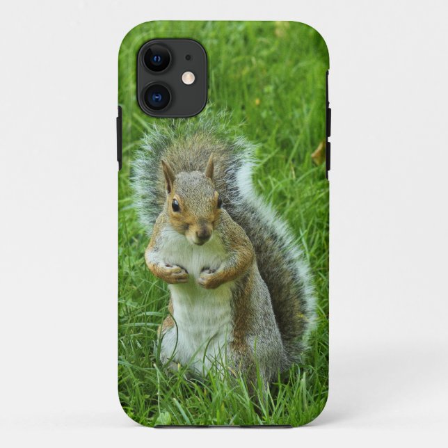 Coques Case-Mate iPhone Écureuil gris, Bute Park, Cardiff (Dos)