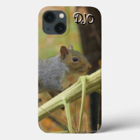 Écureuil gris Coque-coque iphone