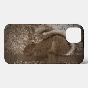 Coques Pour iPhone écureuil gris reposant sepia jardin photo de la fa