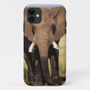 Coque Case-Mate Pour iPhone Éléphant de savane d'Afrique