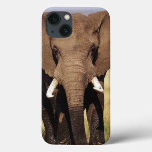 Coques Pour iPhone Éléphant de savane d'Afrique