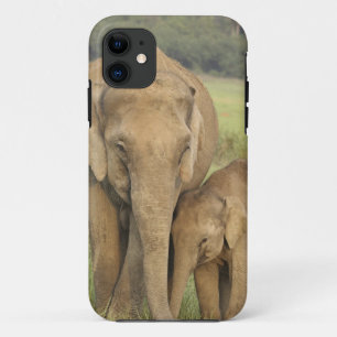 Etui iPhone Case-Mate Éléphant indien / asiatique et jeune, Corbett