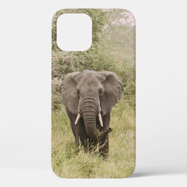 COQUES Case-Mate iPhone ÉLÉPHANT REGARDANT UNE VOITURE D'EXCURSION (Verso)