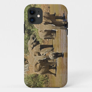 Etui iPhone Case-Mate Éléphants d'Afrique, Loxodonta Africana, Samburu
