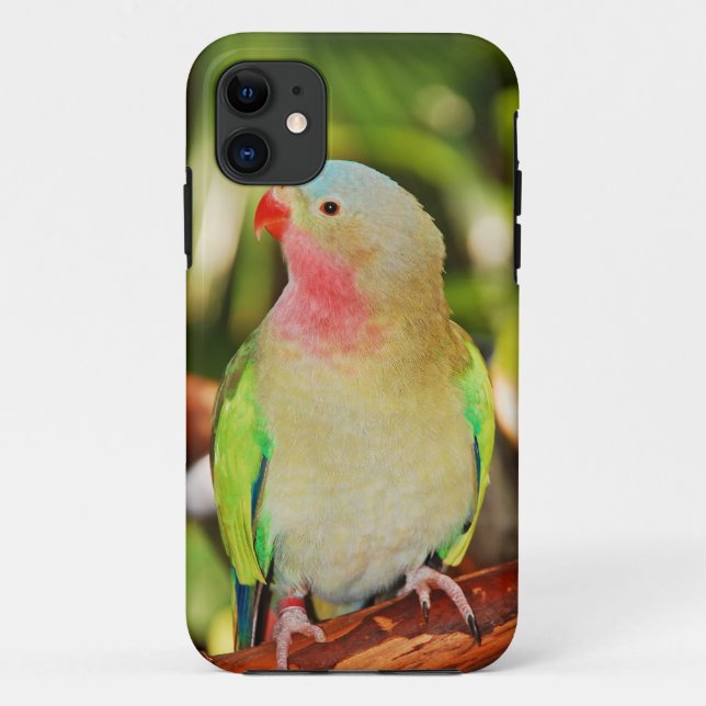Coques Case-Mate iPhone Empreinte verte princess parakee (Dos)