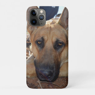 Case-Mate iPhone Case Entitlement Somnolent : Jeune berger alsacien,