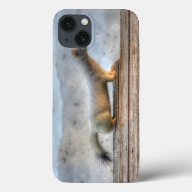 Coques Case-Mate iPhone Ernie la faune de l'hermine déterminée (Weasel) (Verso)