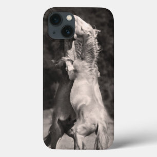 iPhone 13 Case Étalons de danse