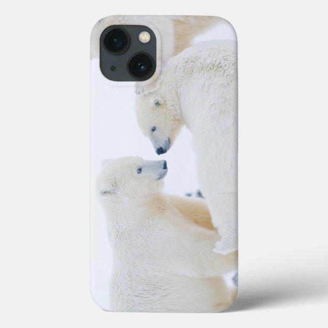 Coques Case-Mate iPhone États-Unis, Alaska, 1002 Plaine côtière de l'Arcti (Verso)