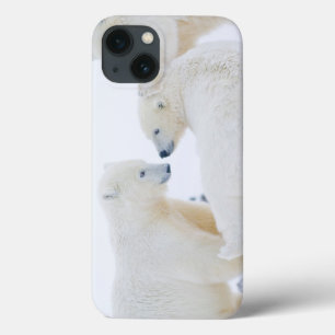 iPhone 13 Case États-Unis, Alaska, plaine côtière de l'Arctique 1