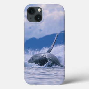 iPhone 13 Case États-Unis, Alaska, Tongass National Forest, Bossu