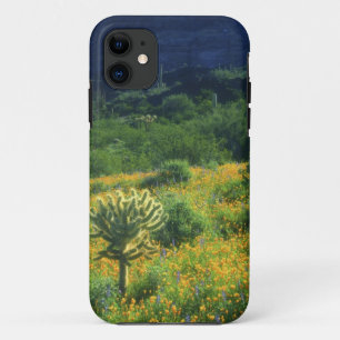 Case-Mate iPhone Case États-Unis, Arizona, Monument national du cactus o