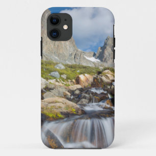 Coque iPhone 11 États-Unis, Californie, Forêt nationale d'Inyo 14