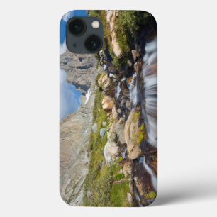 Etui iPhone Case-Mate États-Unis, Californie, Forêt nationale d'Inyo 14
