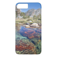 États-Unis, Californie, Forêt nationale d'Inyo 4