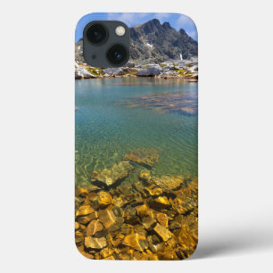 Coques Pour iPhone États-Unis, Californie, Forêt nationale d'Inyo 8