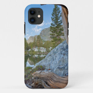 Coque Case-Mate Pour iPhone États-Unis, Californie, forêt nationale d'Inyo. An