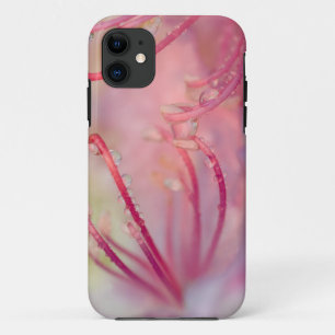 Case-Mate iPhone Case États-Unis, Caroline du Nord. Rhododendron de Cata