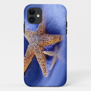 Coque iPhone 11 États-Unis, Caroline du Sud, île de Hilton Head. D