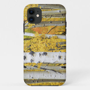 Case-Mate iPhone Case États-Unis, Colorado, Montagnes Rocheuses. Trembl