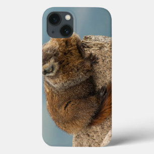 Case-Mate iPhone Case États-Unis, Colorado, Monts San Juan 2