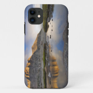 Etui iPhone Case-Mate États-Unis, Colorado, Parc national des Montagnes