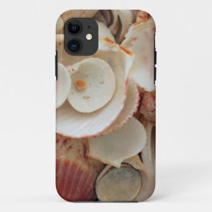 Coques Pour iPhone États-Unis, Floride. Gros plan de coquillages sur