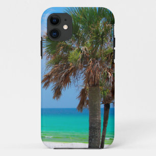 Coque iPhone 11 États-Unis, Floride. Palmiers Sur La Côte D'Émerau