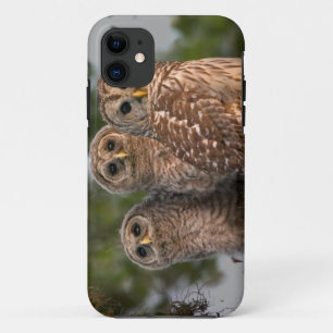Coque Case-Mate Pour iPhone États-Unis, Floride, Viera Wetlands. Trois barrés