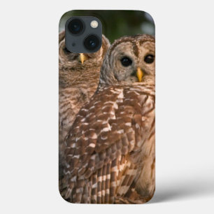 Etui iPhone Case-Mate États-Unis, Floride, Viera Wetlands. Trois barrés
