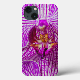 Case-Mate iPhone Case États-Unis, Géorgie, Savannah, Gros plan sur l'orc