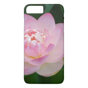 Coque Case-Mate Pour iPhone États-Unis, Kansas, Nymphaea odorata