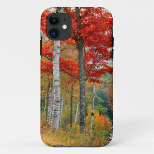 Etui iPhone Case-Mate États-Unis, Maine, lac Wyman. Forêt de bouleau