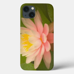 Etui iPhone 13 États-Unis, Maryland, Westminster, Union