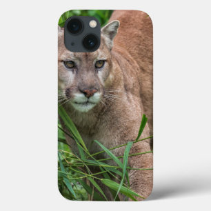 Coques Pour iPhone États-Unis, Minnesota, Sandstone, Minnesota Wildli