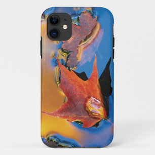Coque iPhone 11 États-Unis, Nord-Est, Feuille d'érable en réflexio