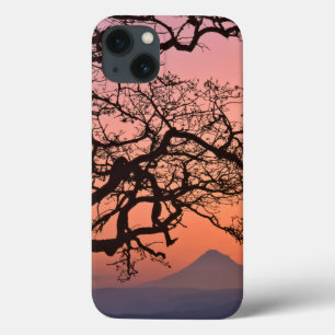 iPhone 13 Case États-Unis, Oregon, Columbia River Gorge National