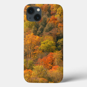 Etui iPhone Case-Mate États-Unis, Tennessee. Feuillage d'automne 2