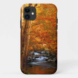 Coque iPhone 11 États-Unis, Tennessee. Ruisseau Rushing Mountain 