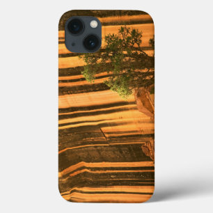iPhone 13 Coque États-Unis, Utah, parc national de Capitol Reef