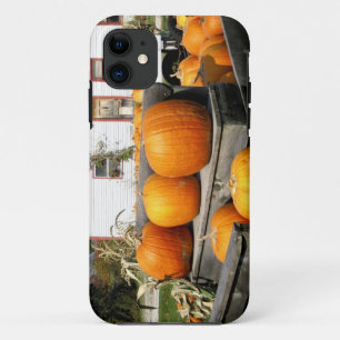Etui iPhone Case-Mate États-Unis, Vermont. Citrouilles