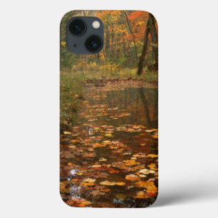 iPhone 13 Coque États-Unis, Virginie, Automne Dans Le Douthat Sta