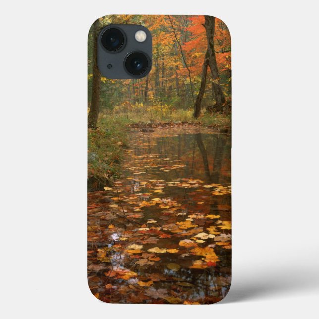 Coques Case-Mate iPhone États-Unis, Virginie, Automne Dans Le Douthat Stat (Verso)