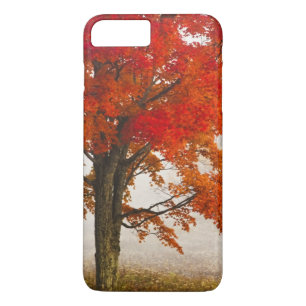 Coque iPhone 8 Plus/7 Plus États-Unis, Virginie-Occidentale, Davis. Érable ro