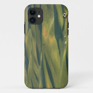 Case-Mate iPhone Case États-Unis, WA, Comté de Whitman, Champs de la fer