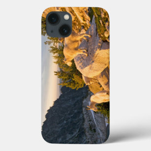 iPhone 13 Coque États-Unis, Washington, chaîne des Cascades 4