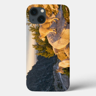 Case-Mate iPhone Case États-Unis, Washington, chaîne des Cascades 4