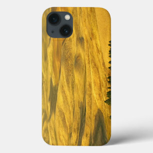Etui iPhone Case-Mate États-Unis, Washington, comté de Whitman, Palous