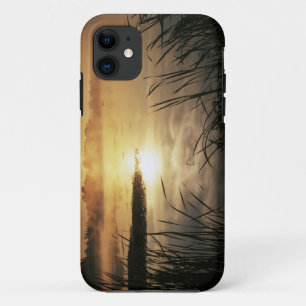 Coques Pour iPhone États-Unis, Washington, Lopez Island, Brouillard m